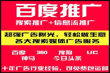专业SEM服务托管方案案例分析